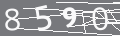 capsa